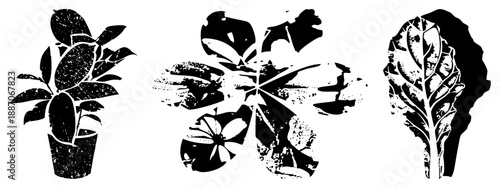 Stylized Black and White Botanical Silhouettes of Potted Plant, Flower, and Leaf