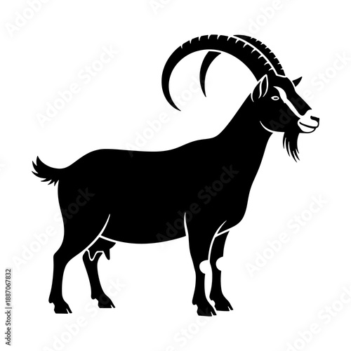Obraz na płótnie goat on a white background