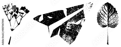 Stylized Botanical Silhouettes with Textured Halftone