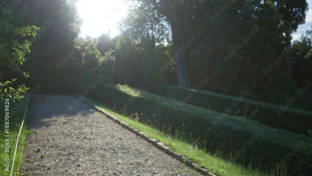 Fototapeta premium Sunlit gravel path flanked by trimmed hedges and blurred trees, softly defocused garden background; background backdrop copyspace calm.
