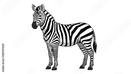 Detailed Illustration of a Standing Zebra with Distinctive Stripes.