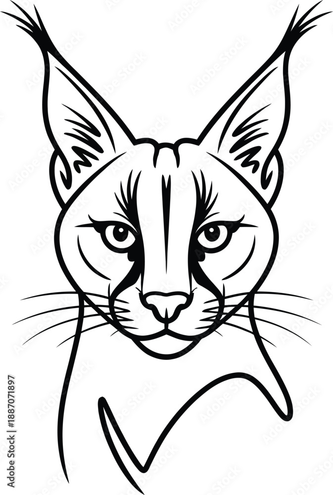 Fototapeta premium Black and white of a lynx face with pointed ears and whiskers