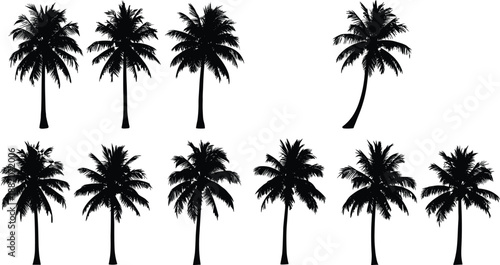 Collection of black palm tree silhouettes in various shapes isolated on white background for tropical design projects