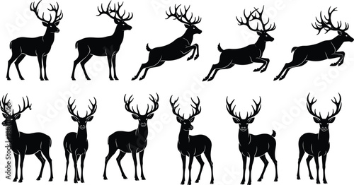 Deer Silhouette Set Featuring Majestic Stag Poses Including Standing, Walking, Running, and Jumping Isolated on White Background