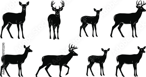 Set of black deer silhouettes showing buck doe and fawn poses isolated on white background for wildlife and nature design use