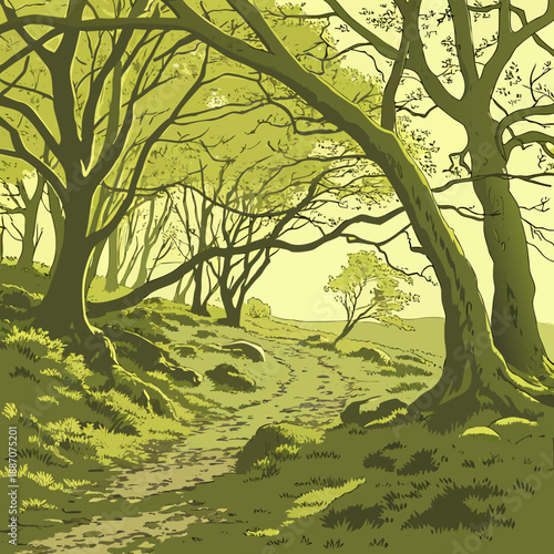 Inviting Forest Entrance with Young Saplings and Path