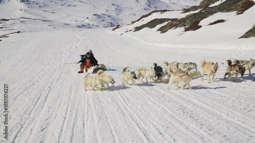 Dog sled team pulling sled across snowy Arctic landscape in Greenland