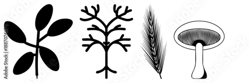 Four Nature Olive Branch, Tree, Wheat, Mushroom in Vector Style