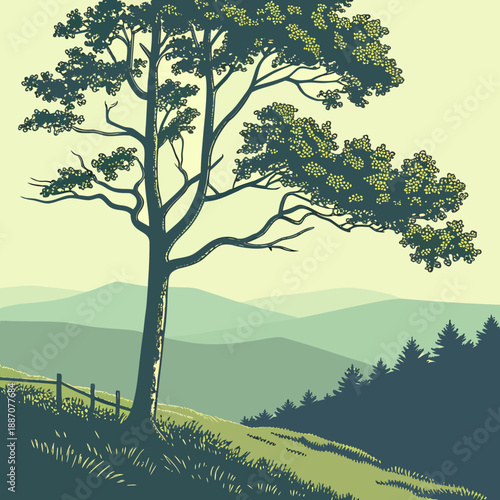 Lone tree on a hilltop viewpoint in flat vector style.