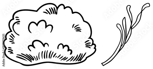 Hand Drawn Cloud and Sprig of Grass Vector Illustration