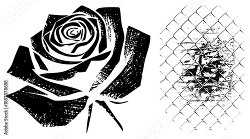 Stylized Rose and Chain Fence Behind a Distorted Face