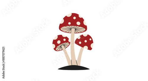 A simple illustration of three red and white spotted fly agaric toadstools, also known as amanita muscaria, on the ground.