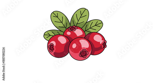 A simple and clean illustration of a small bunch of fresh red cranberries with green leaves, isolated on a white background.