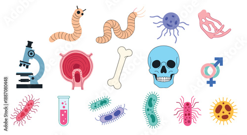 Set of biology and medical science icons including a skull, microscope, bacteria, and human anatomy parts in a flat style.
