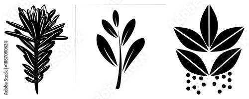 Three Stylized Herb Sprigs with Leaf and Seed Dots