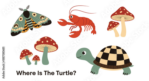Fun educational game for children to find the turtle among other animals and nature elements like a lobster and mushrooms.