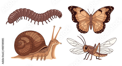 Collection of four insects in a monochrome brown color palette, including a caterpillar, butterfly, snail, and grasshopper.