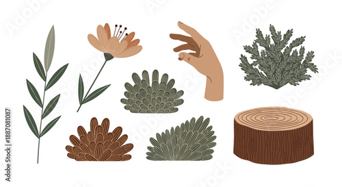 Aesthetic collection of various botanical elements including plants, bushes, a flower, a tree stump, and a human hand.