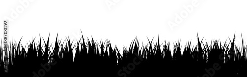 Meadow silhouette with grass, plants on plain. Panoramic summer lawn landscape with herbs, various weeds. Herbal border, frame element. Black horizontal banners. Vector illustration