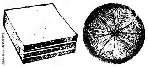 Sandwich and Citrus Slice in Bold Halftone Vector Illustration