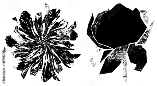 Abstract Black and White Silhouettes with Textured Petals and Stems