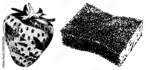 Halftone Strawberry and Sponge Bath Sponge Vector Illustration