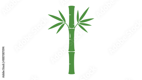 Green Bamboo Plant Silhouette Vector Icon Isolated on White Background