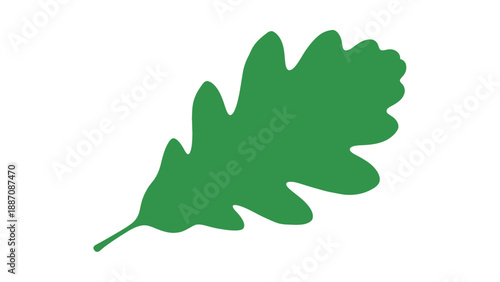 Green Oak Leaf Silhouette Icon on White Background, Nature Symbol