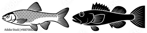 Two Stylized Fish Silhouettes with Intricate Scale