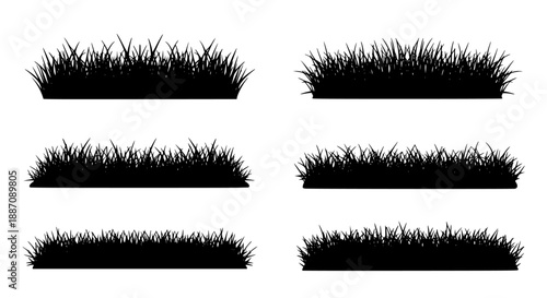 Set of 6 grass silhouettes vector isolated PNG with Transparent Background