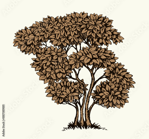 Vector drawing. Big green bush