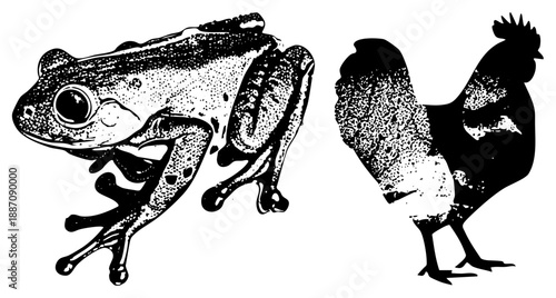 Vintage Halftone Illustration of Frog and Rooster in Black and White