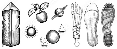Vintage Scientific & Anatomical Illustrations in Halftone Vector Style