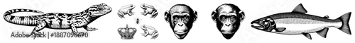 Vintage Style Animal Illustrations Featuring Lizard, Frogs, Monkey, and Salmon