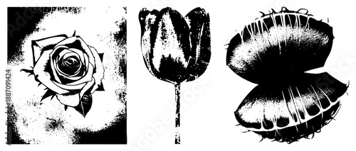 Three Stylized Flowers in Halftone Vector Art Rose, Tulip, Venus Flytrap