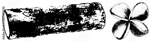 Hand Drawn Log and Plumeria Flower Vector Illustration