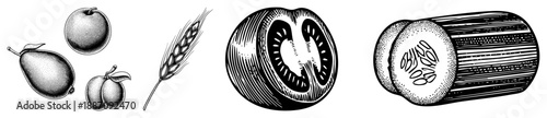 Vintage Halftone Illustration of Fruits, Grains, and Vegetables in Black and White