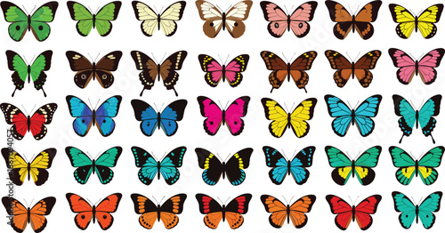 Colorful butterfly illustration set, tropical insect wings collection, realistic nature butterflies icons, vibrant vector wildlife assortment, decorative entomology infographic design elements