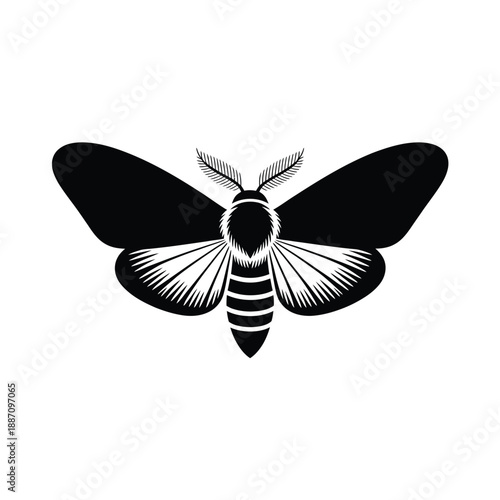 A striking black and white illustration of a detailed moth design