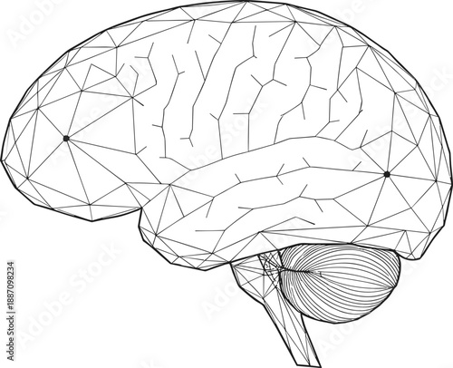 Abstract human brain wireframe vector illustration showing neural network structure, low poly design, neuroscience and artificial intelligence concept