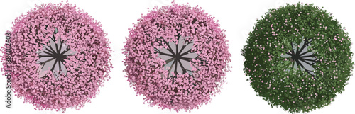 Top view vector illustration of cherry blossom trees and green flowering bushes, perfect for architectural site plans, landscaping, and garden design.