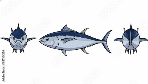Cartoon Illustration of Tuna Fish in Front Side and Rear Views.