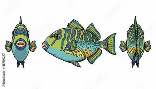 Colorful Cartoon Triggerfish Illustration from Multiple Angles.