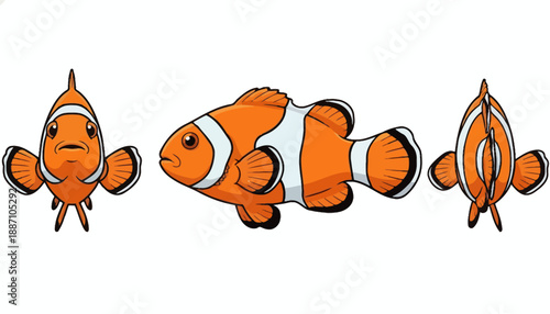 Cartoon Illustration of Orange Clownfish in Multiple Views.