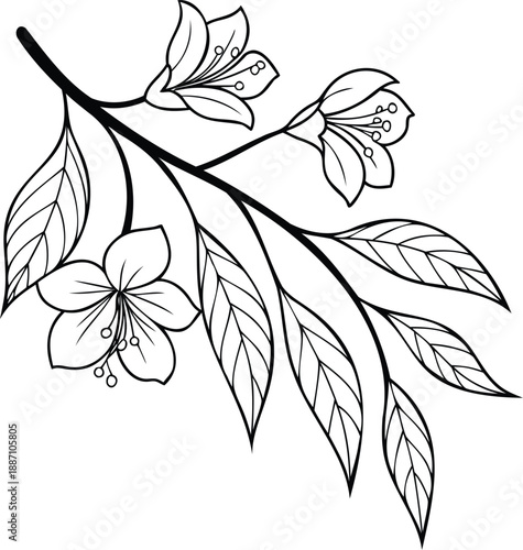 Hand drawn botanical flower branch line art illustration.