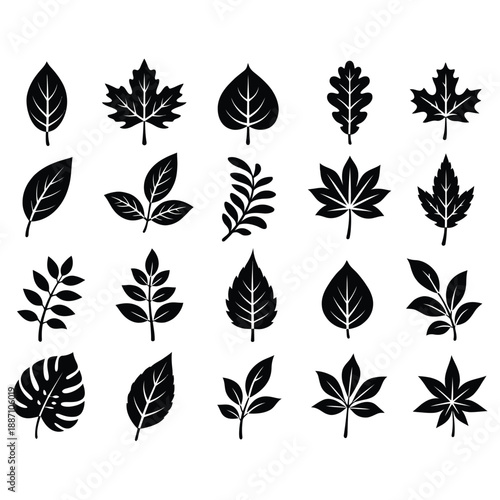 Leaf silhouette collection with various botanical species on transparent background for seasonal autumn and spring design vector set of black foliage icons including maple and oak leaves