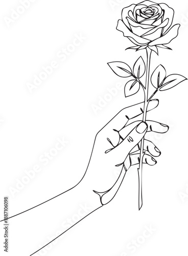 A delicate hand gently holding a single blooming rose in line art