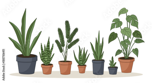 Assorted Potted Plants on White Shelf Against Black Background