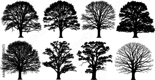 Modern Technology, Science, and Education Vector Icons Collection on White Background