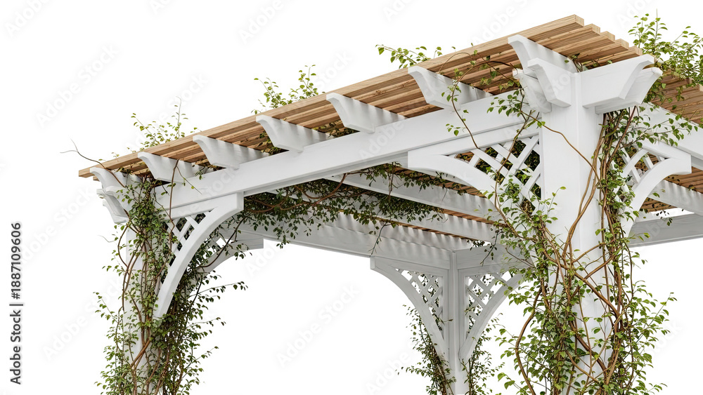 Naklejka premium White Pergola Covered in Green Vines